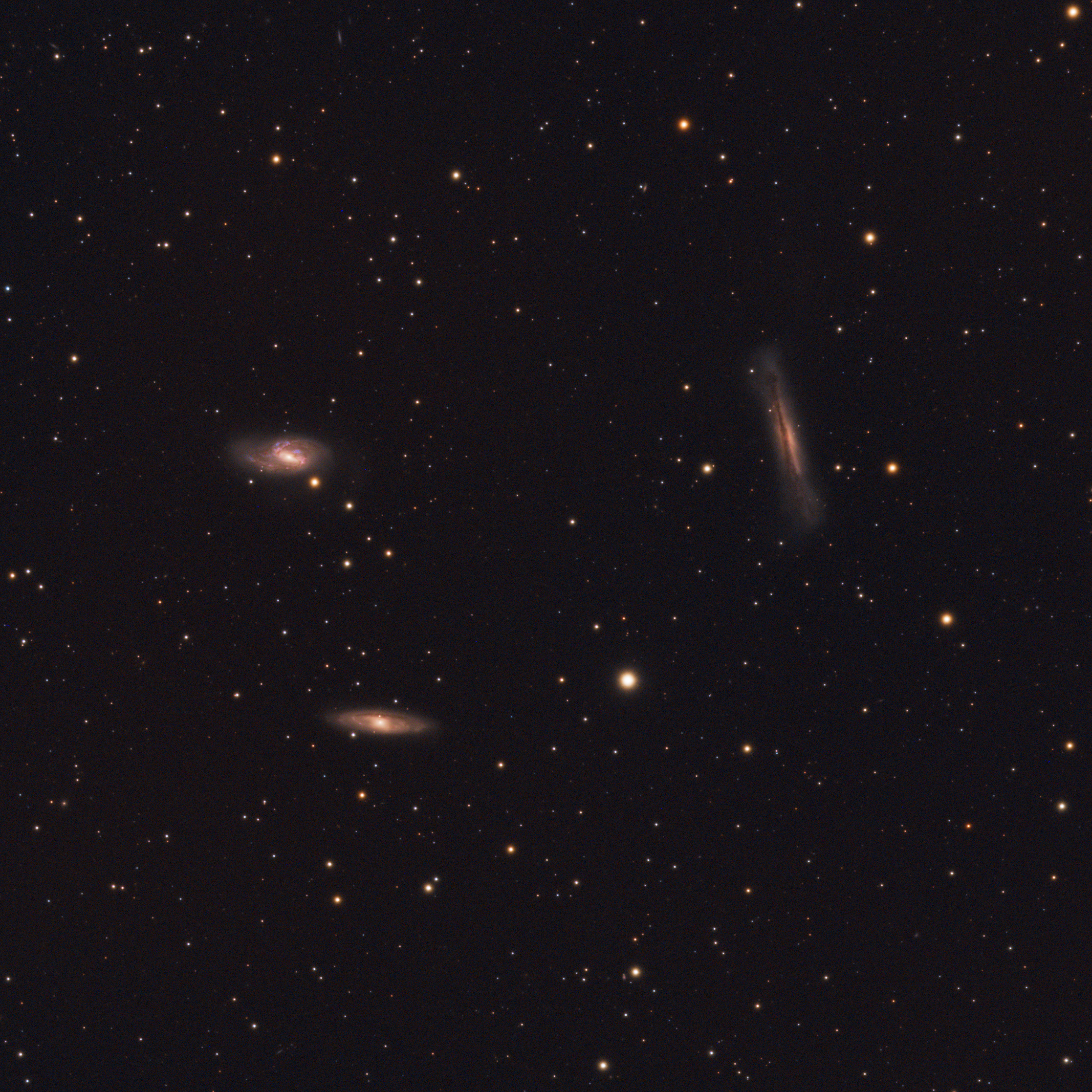 NGC3628