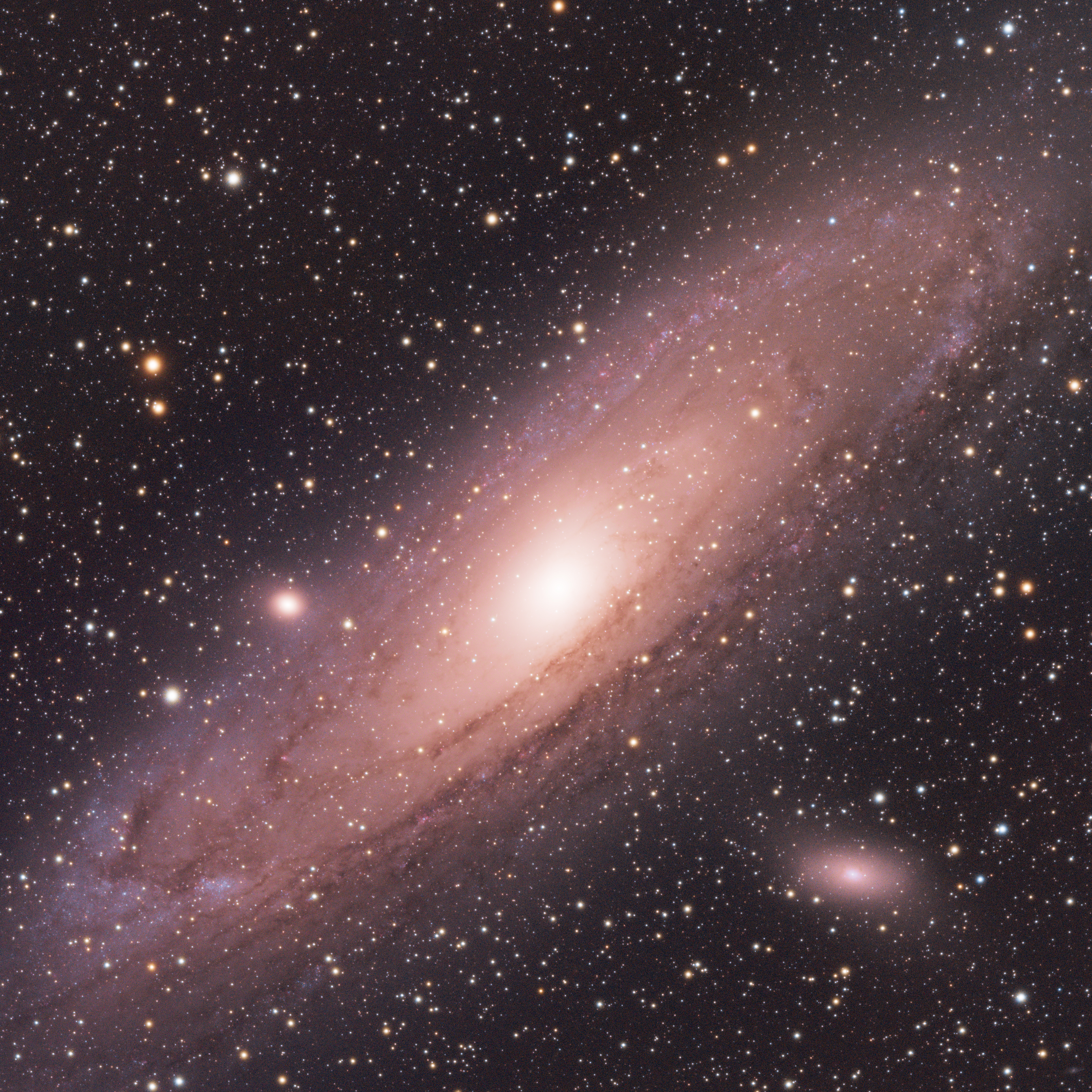 M31