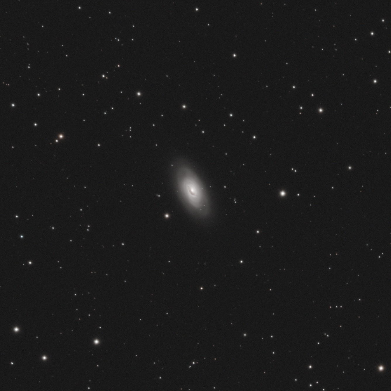 M64